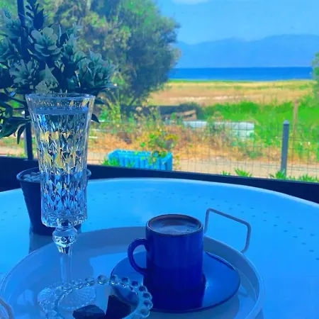 Harmony Blue * Pelitkoy