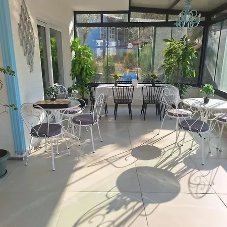Harmony Blue Homestay