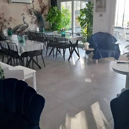 Harmony Blue Pelitkoy